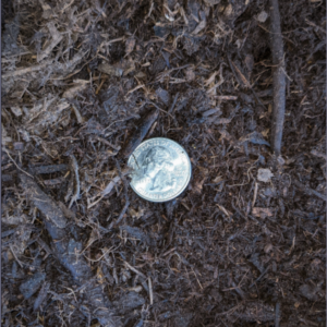 Compost Coin Small