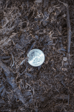 Compost Coin Small