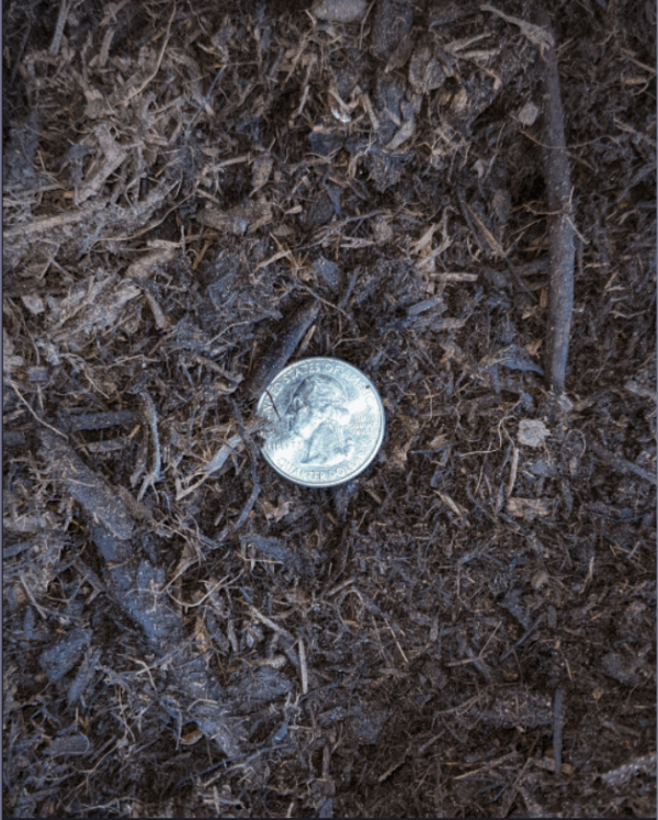 Compost Coin Small