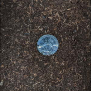 Sifted Compost Small Coin