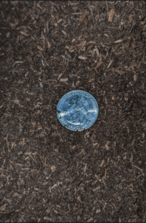 Sifted Compost Small Coin