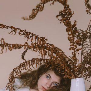 dry and dead indoor plant