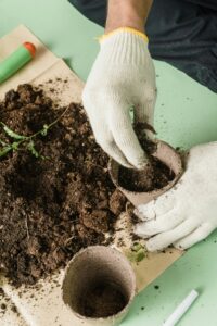 Using organic and materials that have been recycled we can help sustain our practicing when using a living soil