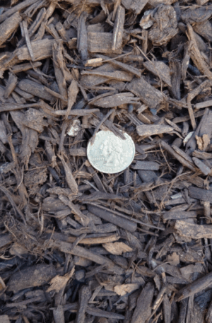 Woodchips - 5 Gallons