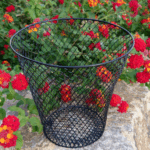 Inground Worm Bin 1