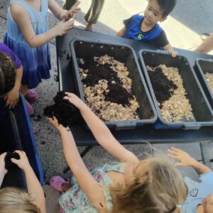 Kids Worm Bin