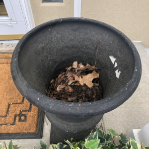 Empty Pot