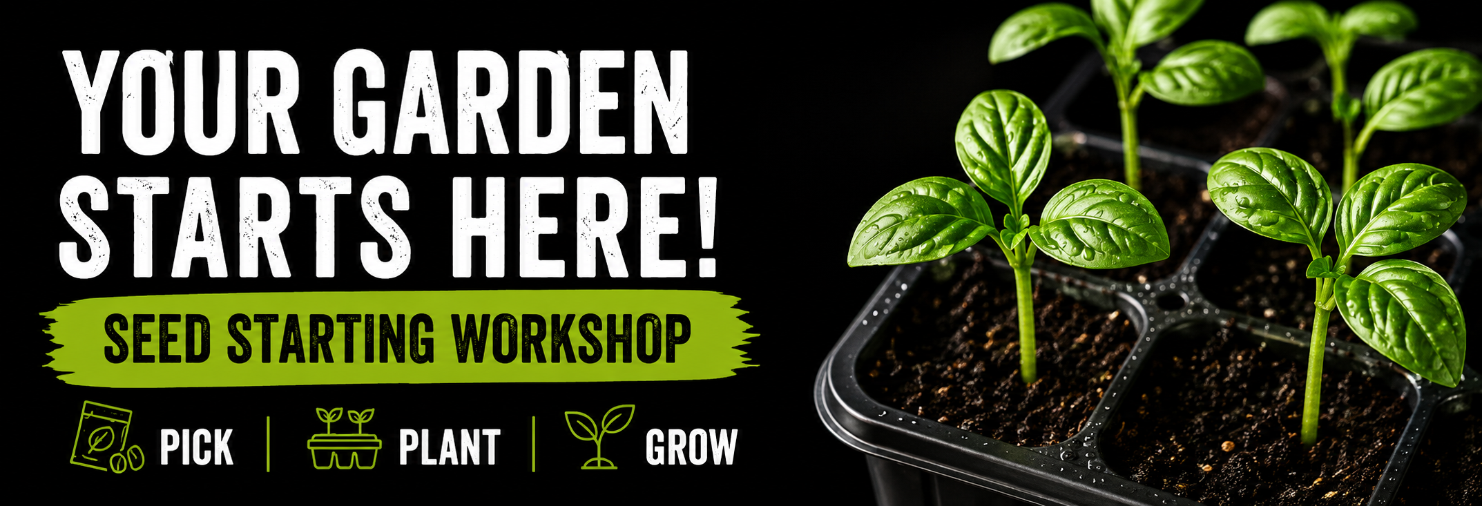 All-Inclusive Fall Seed Starting Workshop