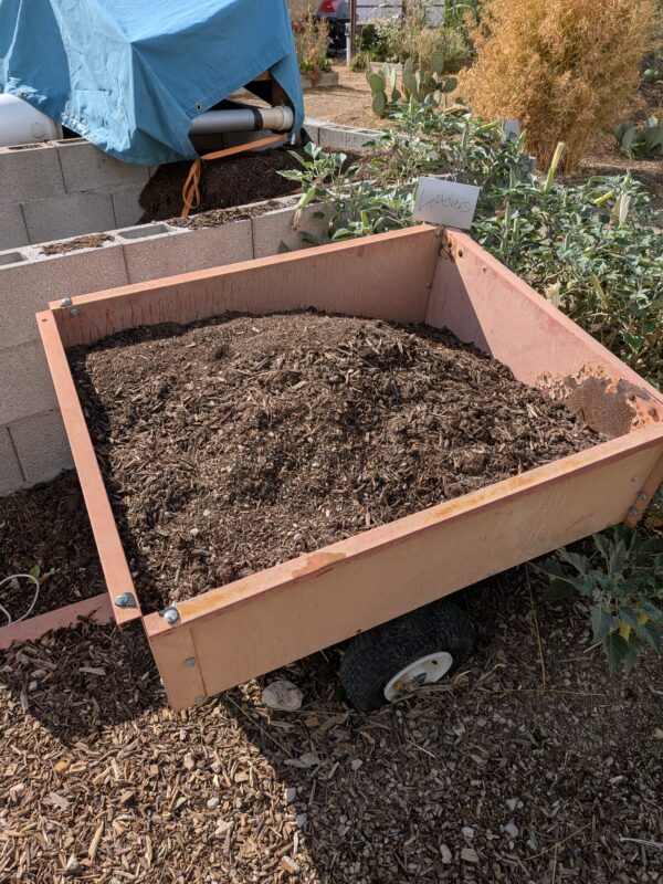 Leftovers a mix of compost, worm castings, and wood chips
